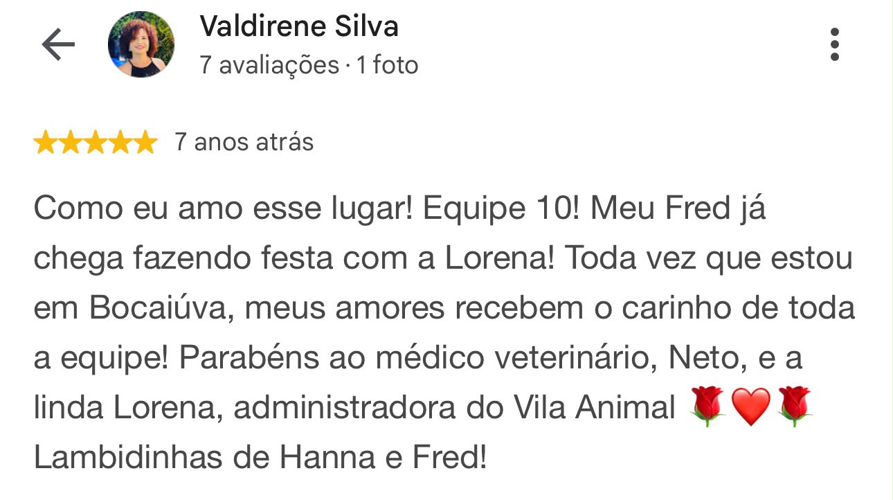 Avaliação 2 da Vila Animal no Google